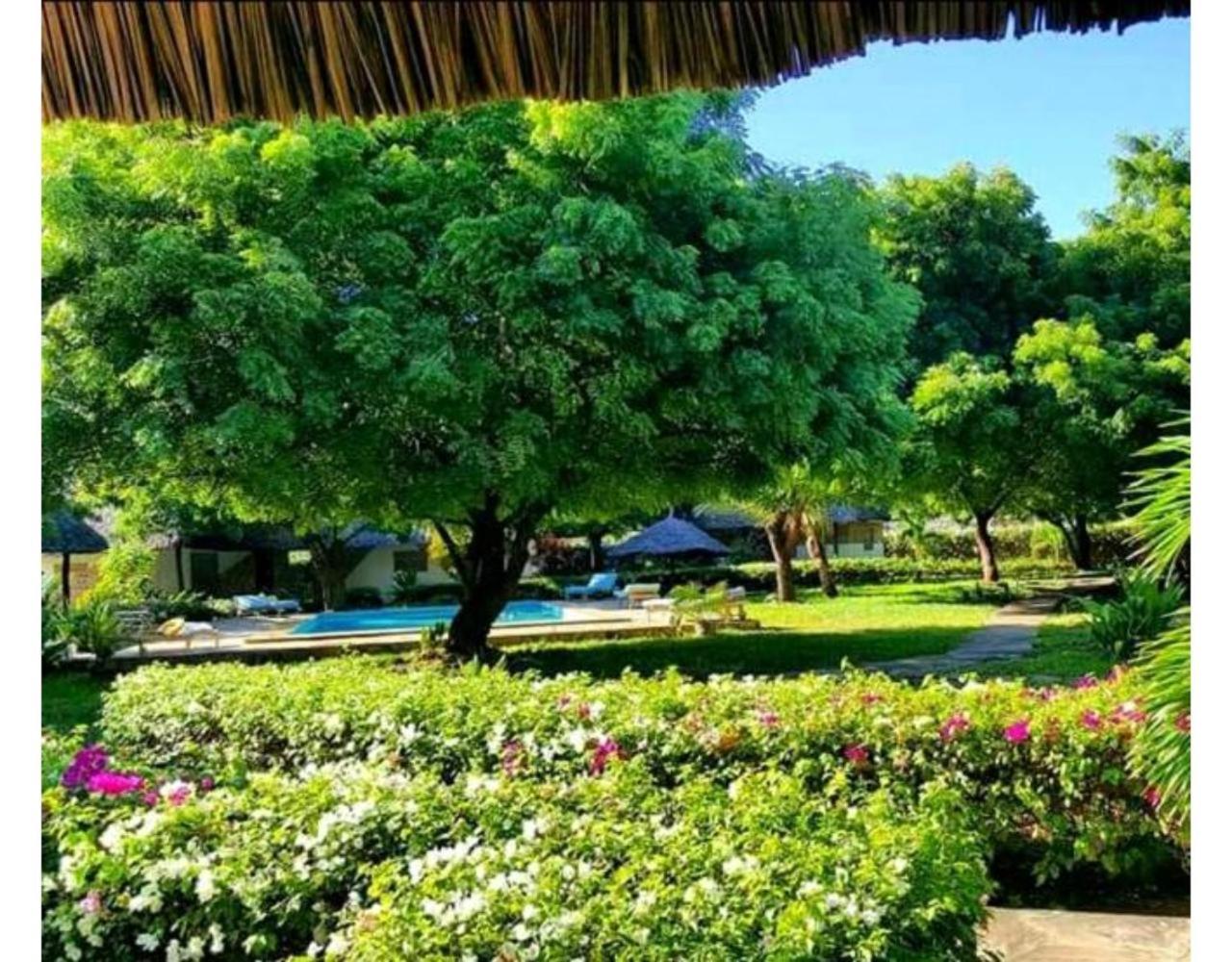 Eco Villas Ватаму Екстер'єр фото